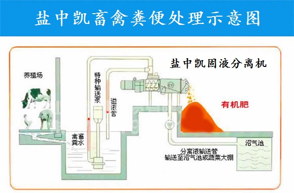 糖心网页版入口